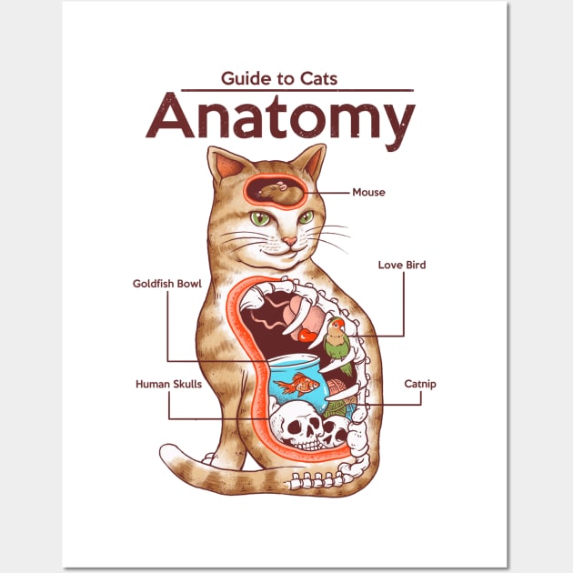 Anatomy of a Cat Wall Art by Vincent Trinidad Art